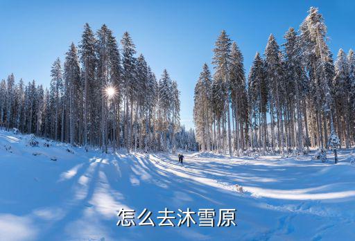 口袋妖怪剑盾手游怎么去雪原，怎么去沐雪原