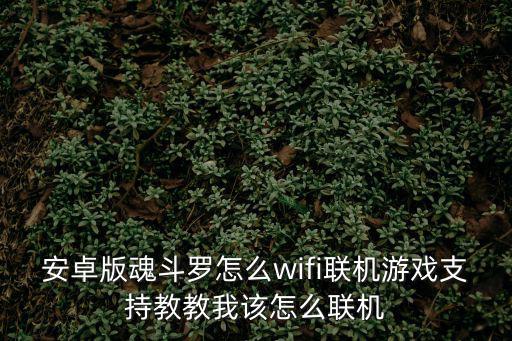 安卓版魂斗罗怎么wifi联机游戏支持教教我该怎么联机