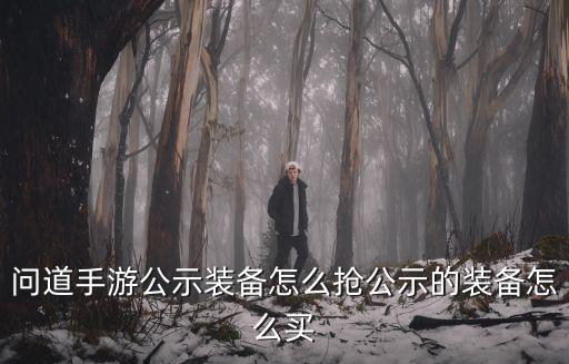 问道手游公示装备怎么抢公示的装备怎么买