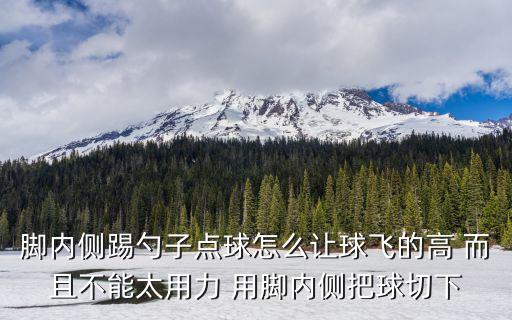 手游fifa足球点球怎么踢高，脚内侧踢勺子点球怎么让球飞的高 而且不能太用力 用脚内侧把球切下