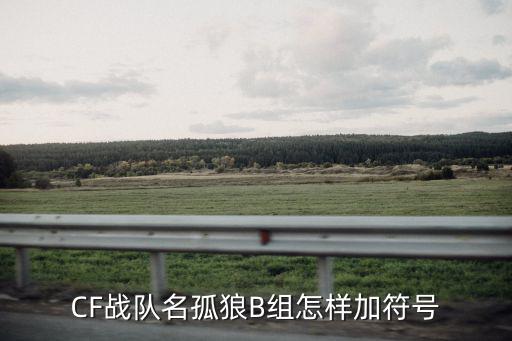 cf手游孤狼怎么搜好点，帮忙设计一个CF战队昵称 战队名字孤狼B组 急急急急