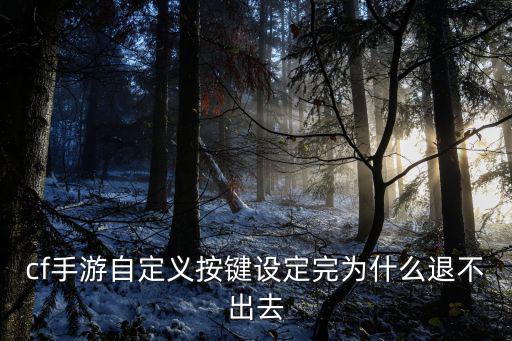 cf手游自定义按键设定完为什么退不出去