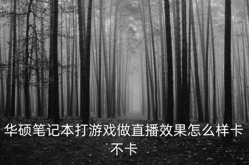 华硕笔记本打游戏做直播效果怎么样卡不卡