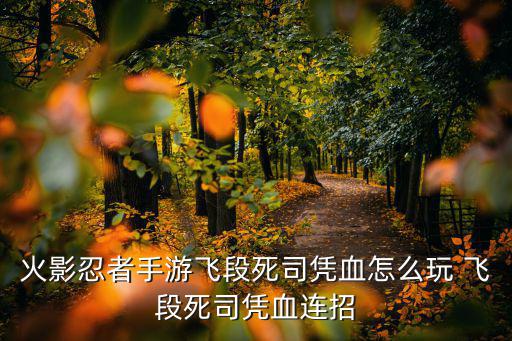 火影忍者手游飞段死司凭血怎么玩 飞段死司凭血连招
