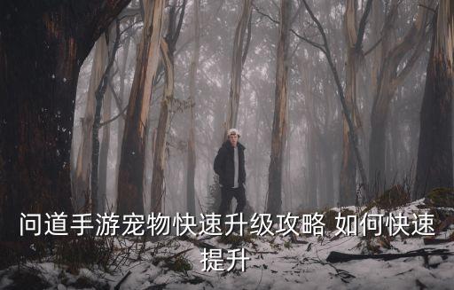 问道手游宠物快速升级攻略 如何快速提升