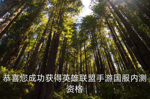恭喜您成功获得英雄联盟手游国服内测资格