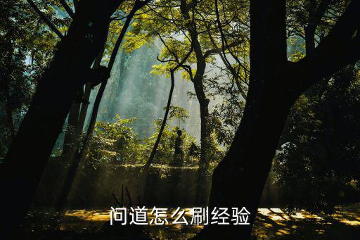 问道手游经验书怎么刷最快，问道怎么刷经验