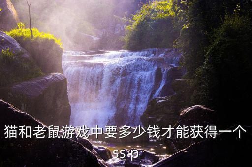 猫和老鼠游戏中要多少钱才能获得一个ss p