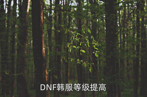 DNF韩服等级提高