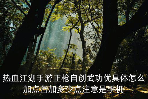 热血江湖手游五开怎么加点，热血江湖手游正枪自创武功优具体怎么加点各加多少点注意是手机