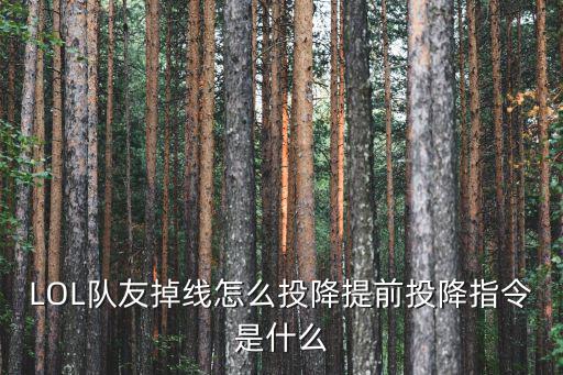 LOL队友掉线怎么投降提前投降指令是什么