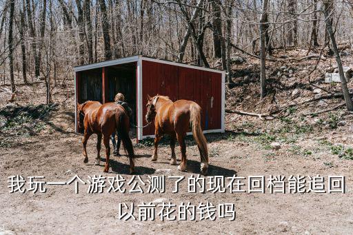 我玩一个游戏公测了的现在回档能追回以前花的钱吗