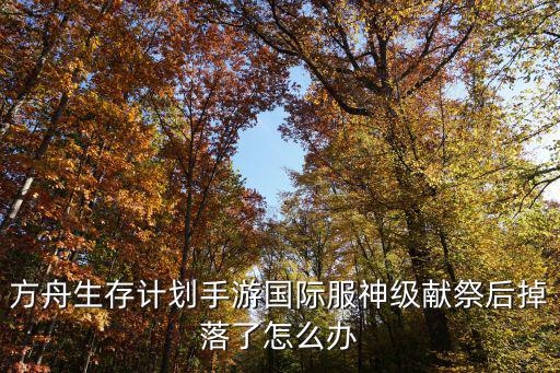 方舟生存计划手游国际服神级献祭后掉落了怎么办