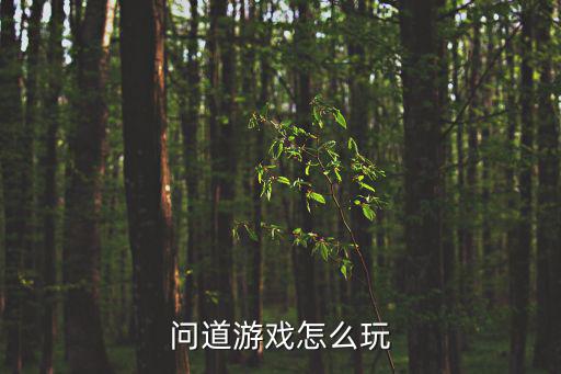 问道游戏怎么玩