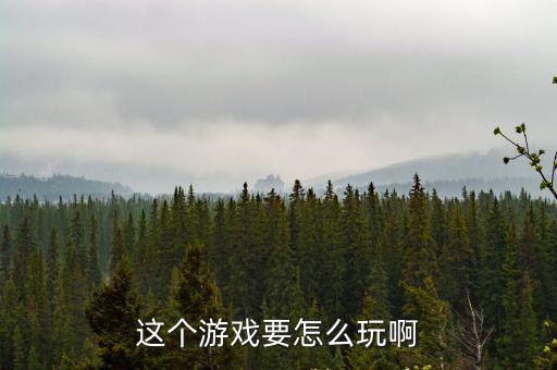 这个游戏要怎么玩啊
