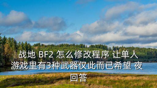 战地 BF2 怎么修改程序 让单人游戏里有3种武器仅此而已希望 夜 回答