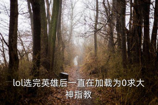 lol选完英雄后一直在加载为0求大神指教
