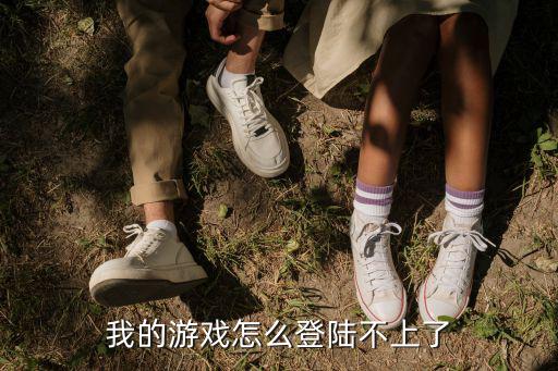 我的游戏怎么登陆不上了