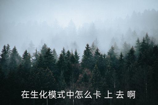 在生化模式中怎么卡 上 去 啊