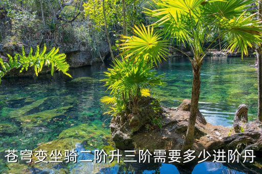 苍穹变坐骑二阶升三阶需要多少进阶丹