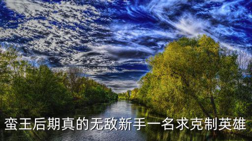 手游蛮王无敌怎么回事儿，蛮王后期真的无敌新手一名求克制英雄