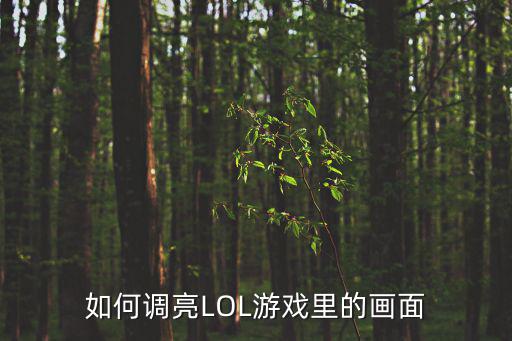 英雄联盟手游端游画质怎么调，如何调亮LOL游戏里的画面