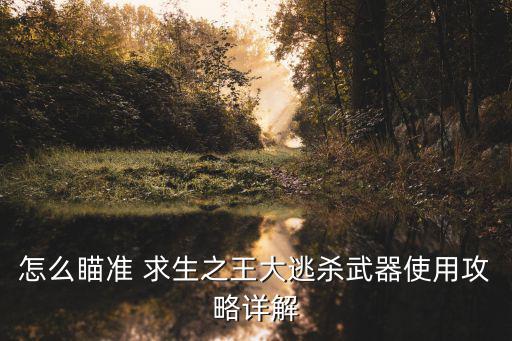 手游怎么瞄准兵器，武器的准心怎么设置
