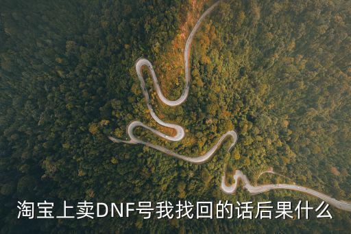 淘宝上卖DNF号我找回的话后果什么