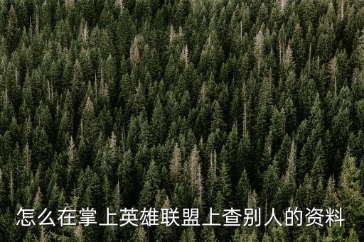 怎么在掌上英雄联盟上查别人的资料