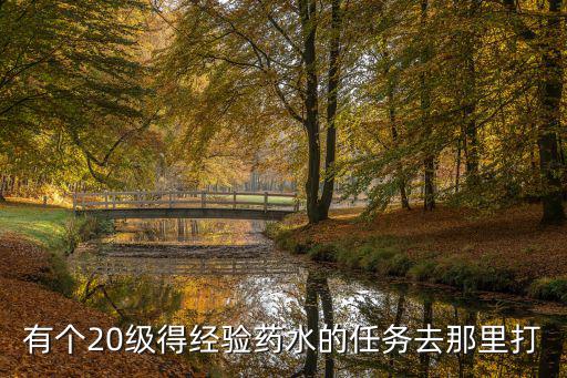 有个20级得经验药水的任务去那里打