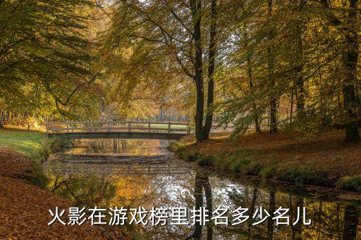 火影手游排行榜匿名怎么设置，火影在游戏榜里排名多少名儿