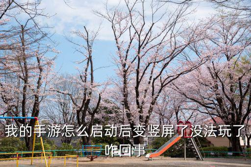 我的手游怎么启动后变竖屏了没法玩了咋回事