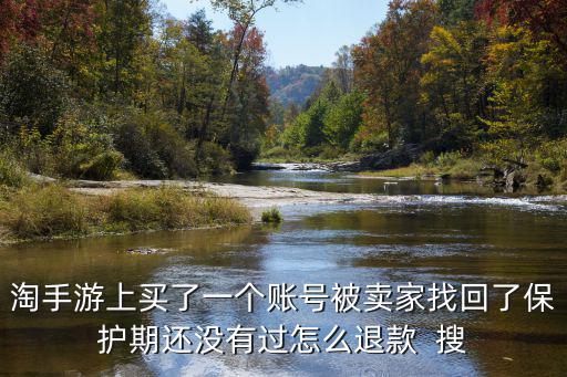 淘手游上买了一个账号被卖家找回了保护期还没有过怎么退款  搜