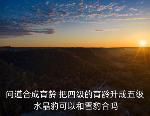 问道合成育龄 把四级的育龄升成五级 水晶豹可以和雪豹合吗