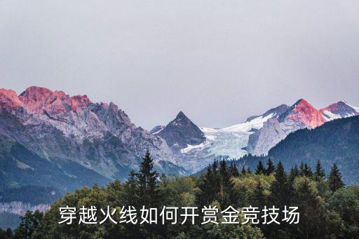 cf手游怎么打赏金赛，玩穿越火线怎么可以玩赏金模式