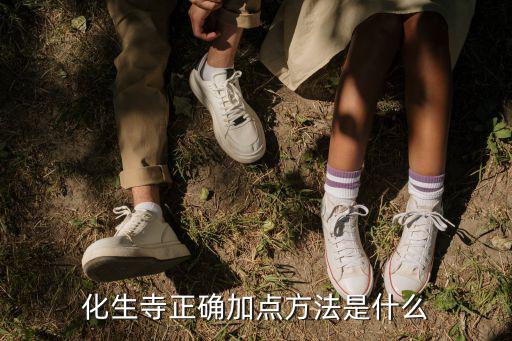 化生寺正确加点方法是什么