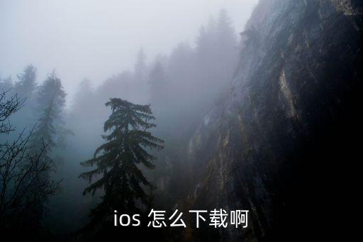ios 怎么下载啊