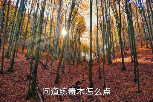 问道练毒木怎么点