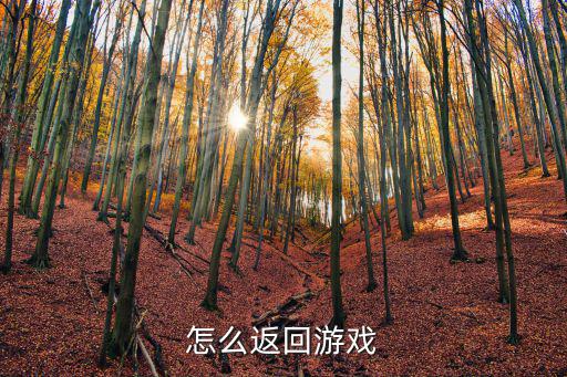 怎么返回游戏