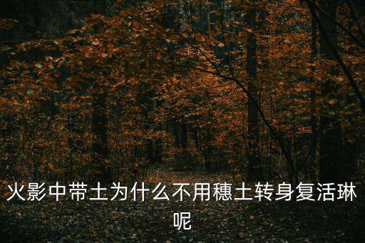 火影中带土为什么不用穗土转身复活琳呢
