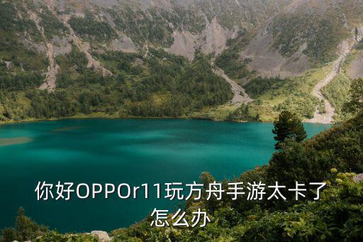 你好OPPOr11玩方舟手游太卡了怎么办