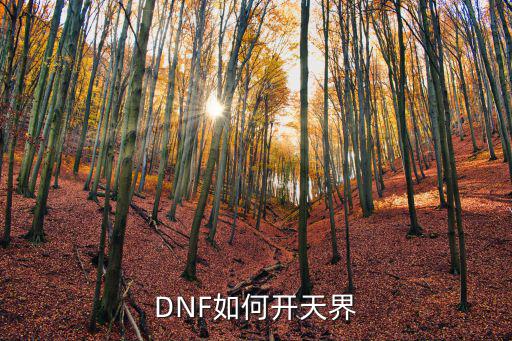 DNF如何开天界