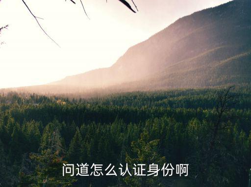 问道怎么认证身份啊