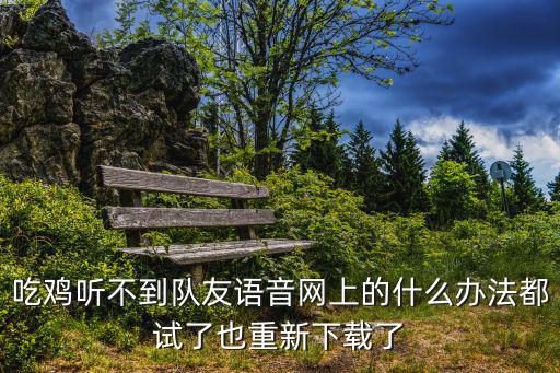吃鸡听不到队友语音网上的什么办法都试了也重新下载了
