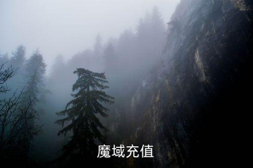 魔域充值