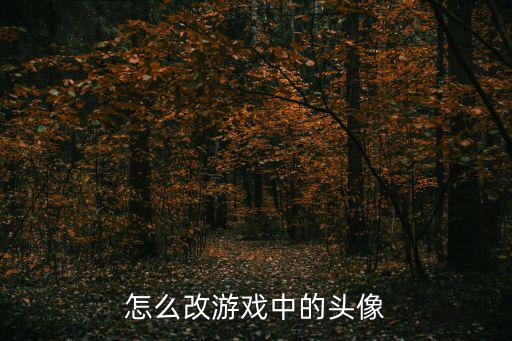 怎么改游戏中的头像