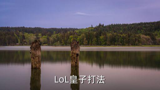 LoL皇子打法