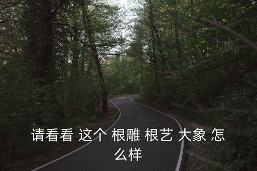 请看看 这个 根雕 根艺 大象 怎么样