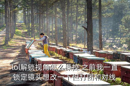 lol解锁视角怎么操控 之前我一直锁定镜头想改一下但打团和对线
