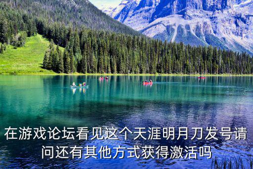 在游戏论坛看见这个天涯明月刀发号请问还有其他方式获得激活吗